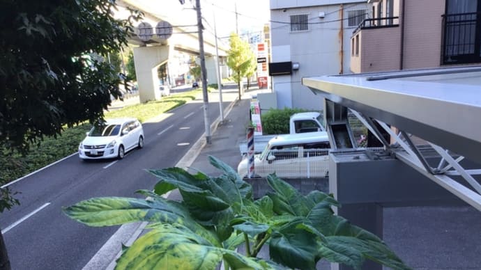 3mの成長