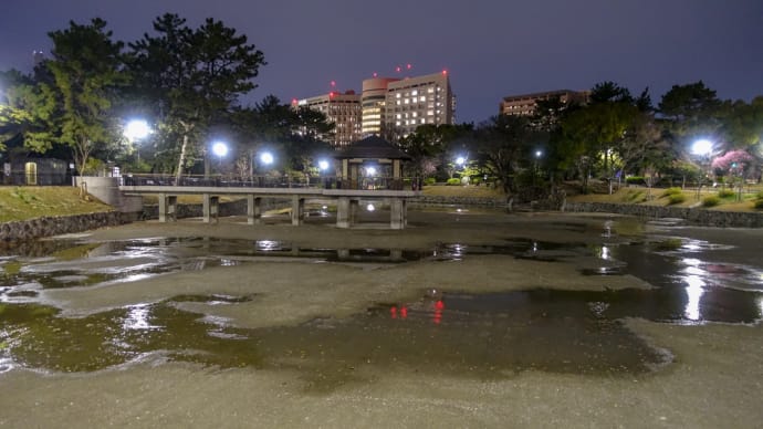 鶴舞公園 竜ヶ池、注水再開!!