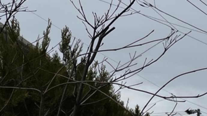 寒空