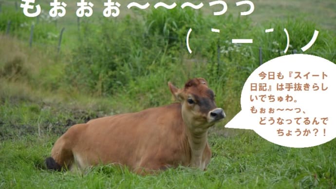 牛とか馬とか、時々、猫。