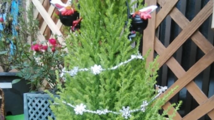X'masツリー♪