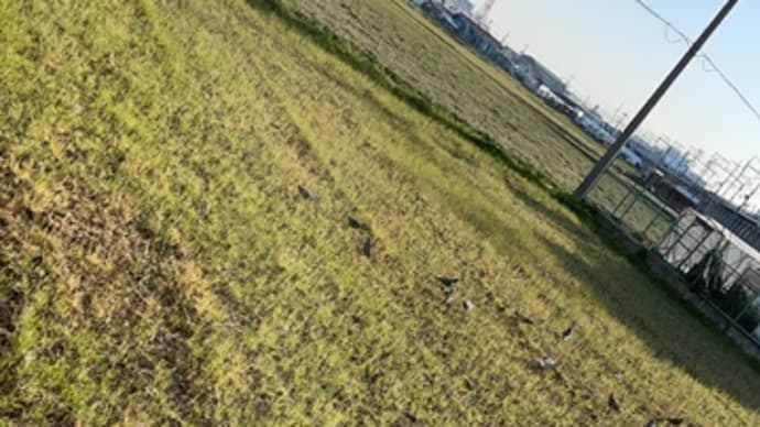 昔なら敵に気づかれず出来るだけ傍まで寄って弓を放つ 相手が弱ったところをハンマーを右手に襲い掛かる