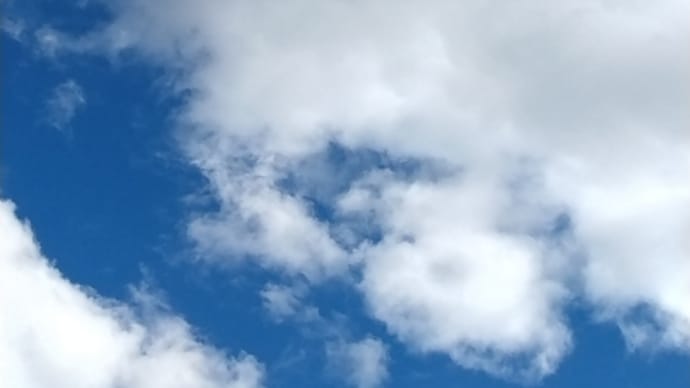 晴れの土曜日