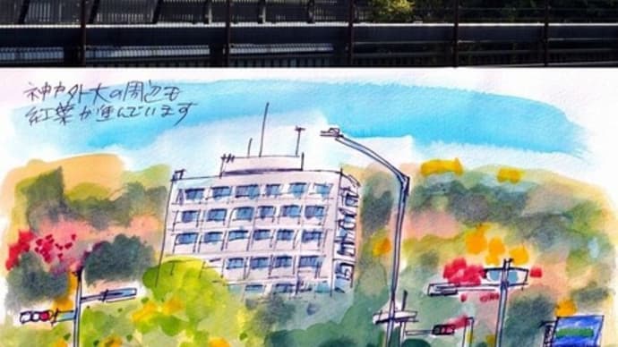 神戸外大の周辺