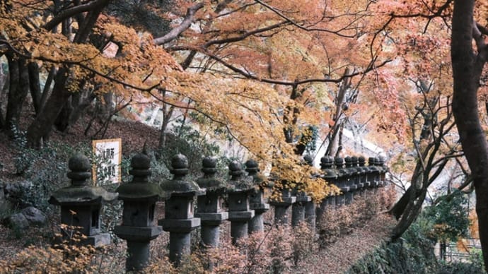 奈良　談山神社　紅葉