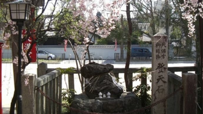 京都妖怪探訪（１０３）：2011年霊場魔所の桜・水火天満宮