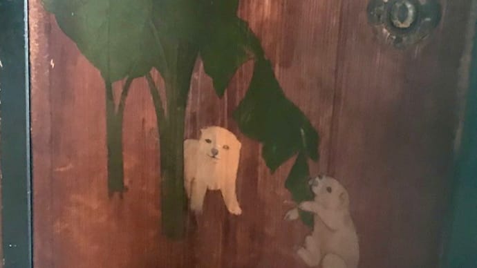 白い仔犬と白い象の、微笑に魅せられ 【京さんぽシリーズⅠ】