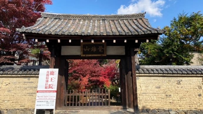 京都の紅葉「鹿王院」いいです