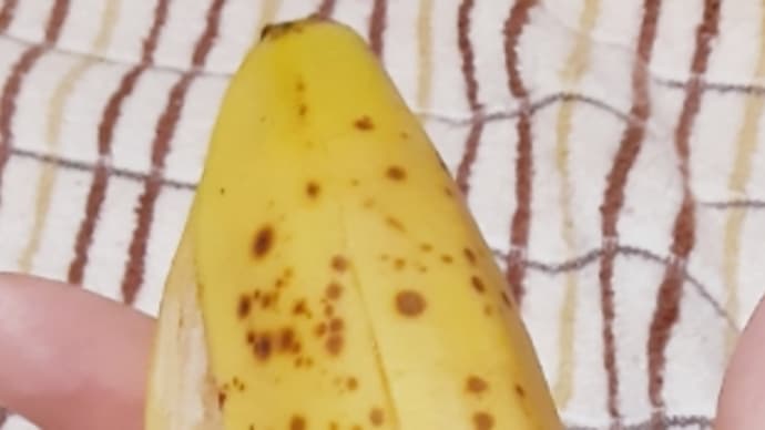 食べ頃&歩数