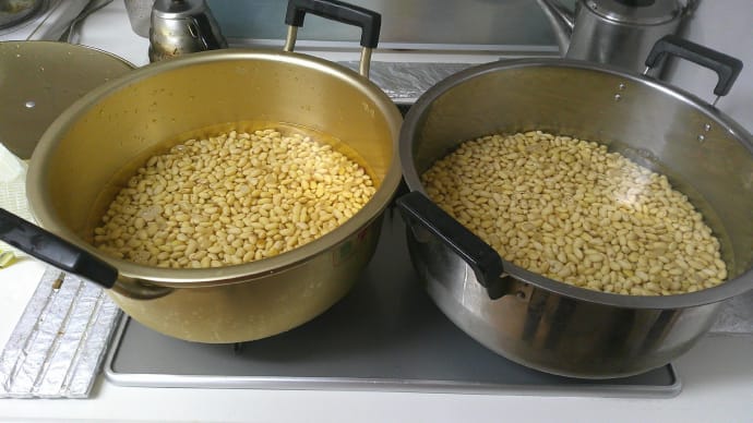 味噌作り(2日目)