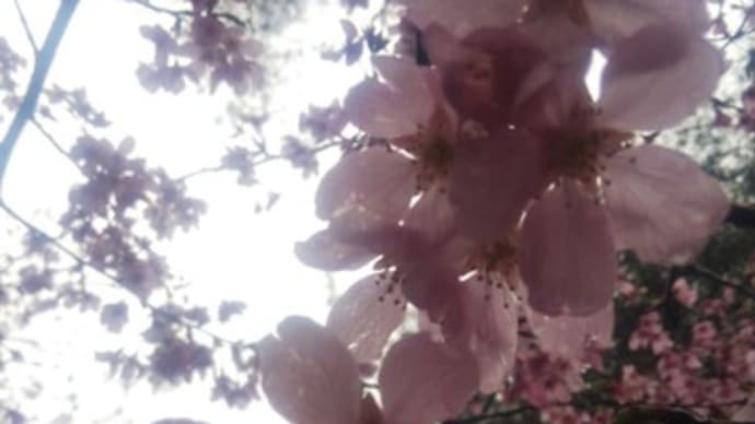 寒の戻り