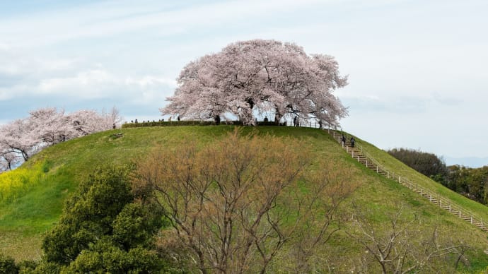 さきたま古墳公園にて