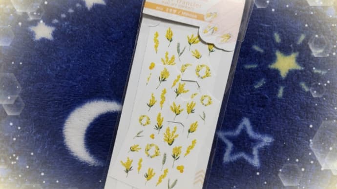 ミモザでした