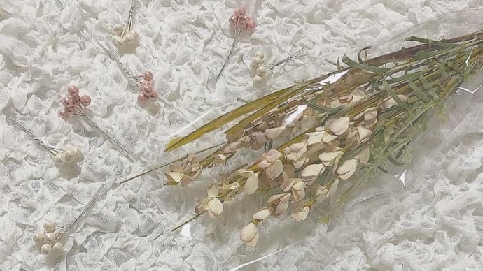 こんばんは☺︎꒡̈⃝⌄̈⃝¨̮