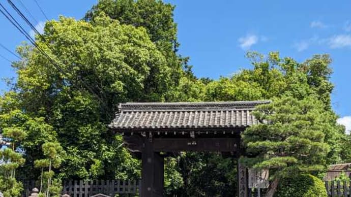 泉涌寺から雲龍院へ