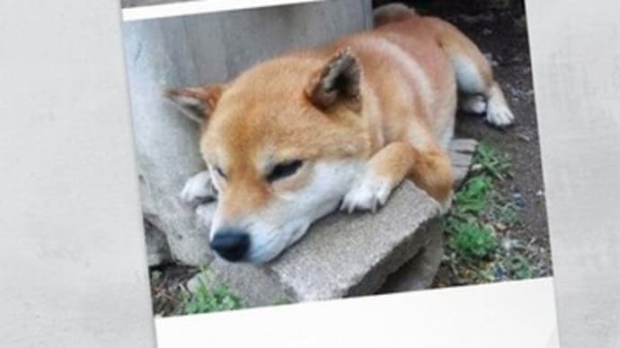 今日で丸1年