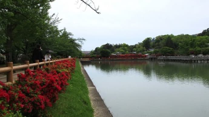 天も花に酔ふべき