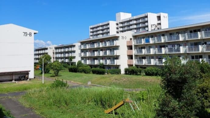 盆スペシャル2日目!