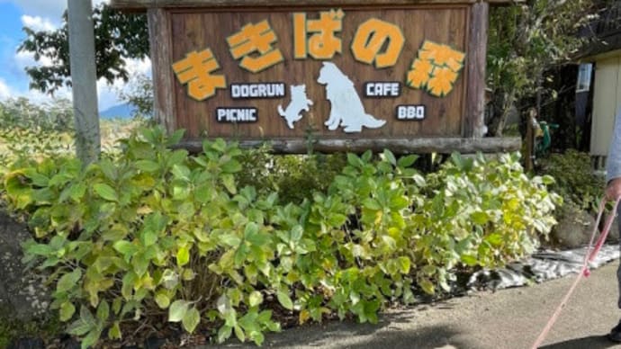田舎滞在 秋 ④ (ドッグラン)