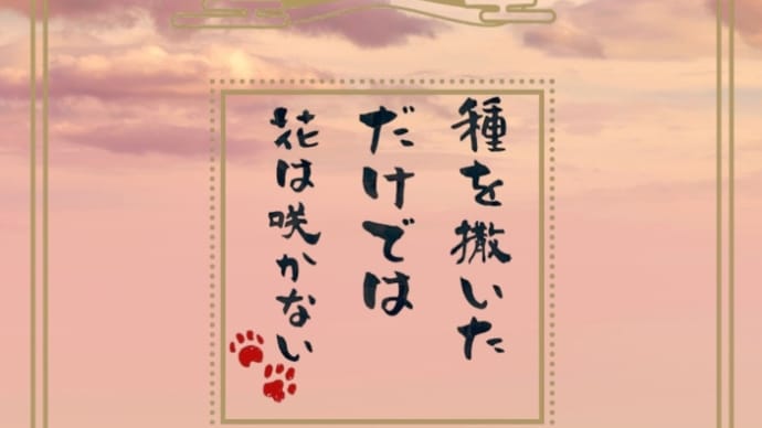 日々 精進✨️✨️✨️✨️