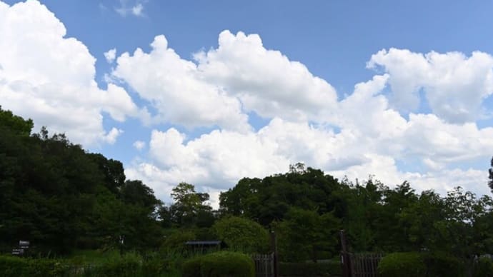 大和民族公園 夏