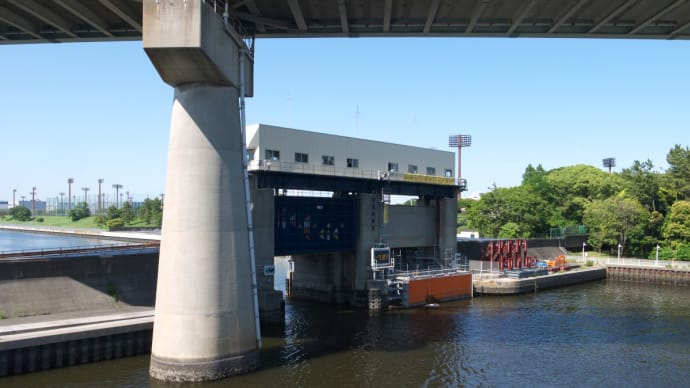 6月の辰巳の森海浜公園:辰巳二丁目地区内からJR京葉線新木場駅前まで PART2
