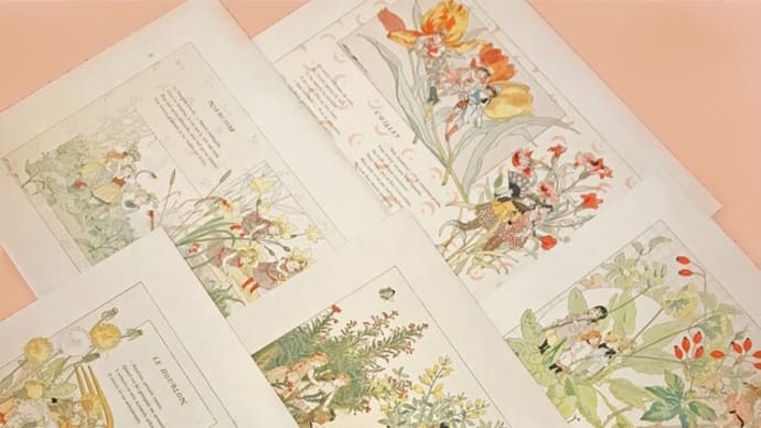 ファーミン・ブイセ「花の言葉」第二弾入荷!