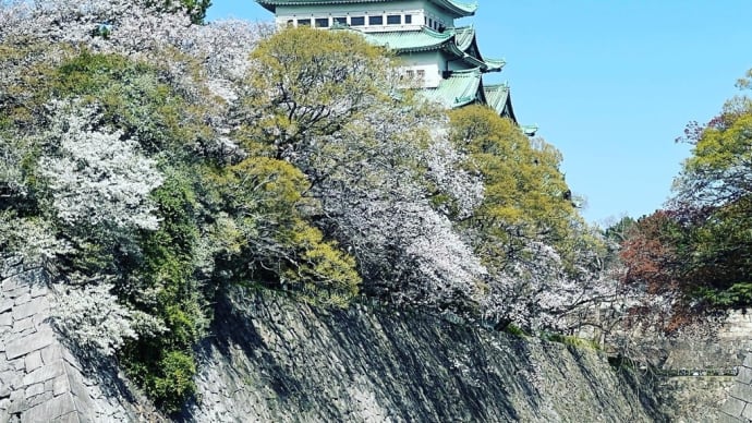 令和5年度