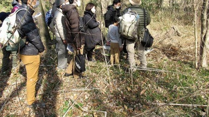 親子でワンダー「冬のクワガタさがし①」