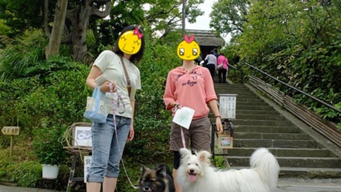 鎌倉ハイキング