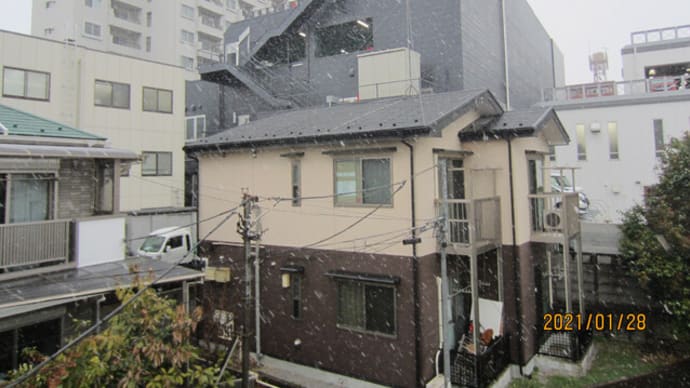 雪、雪、降雪となった東京都内