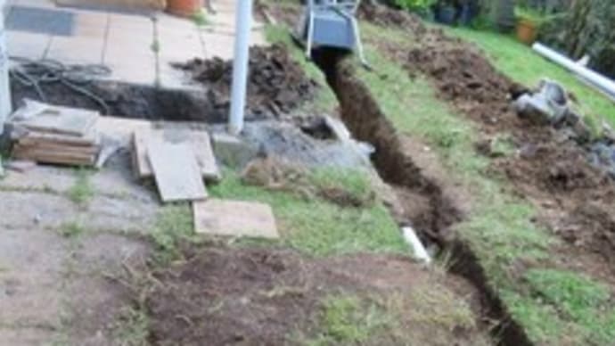 工事4日目と猫
