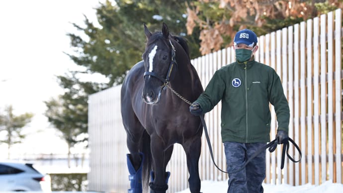 香港ヴァーズなど重賞4勝馬【グローリーヴェイズ(Glory Vase)】がスタッドイン