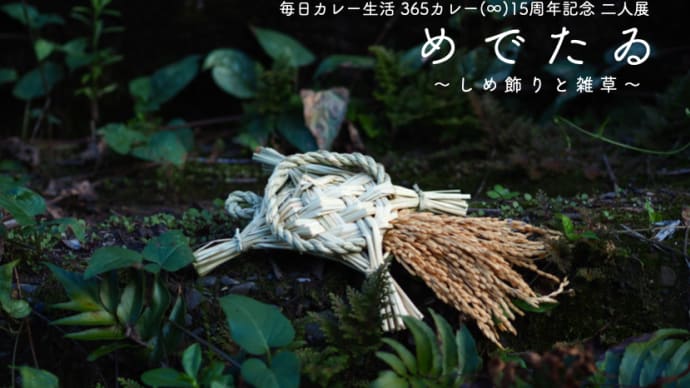 【告知】毎日カレー生活15周年記念作品展『めでたゐ〜しめ飾りと雑草〜』（無事終了2022/12/12 更新）