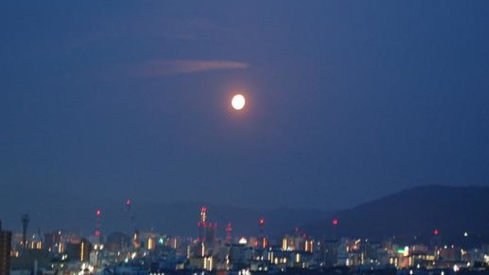 夜明けの月と青いカンパニュラ