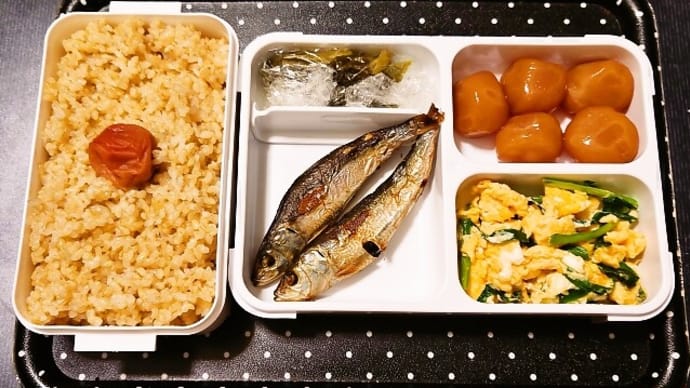 手作り弁当のめざし・ニラ玉弁当(2024年3月13日)