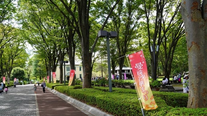 府中市の郷土の森、『曼珠沙華まつり』は、秋の多彩な情景に心も染められ・・。
