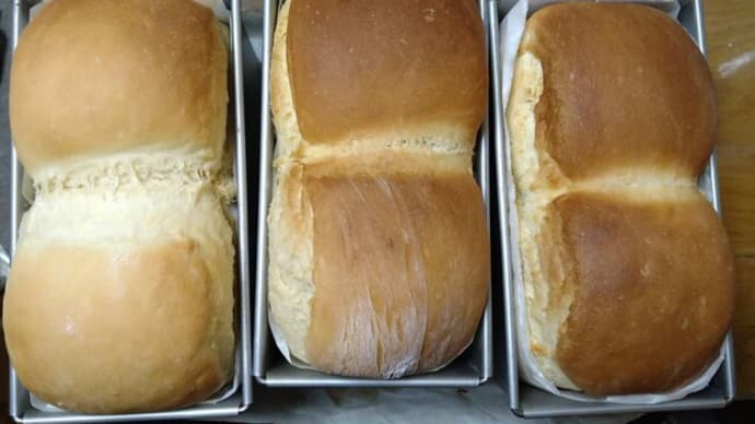 爆焼き🍞🍞🍞🍞🍞😂💦 2024/11/10