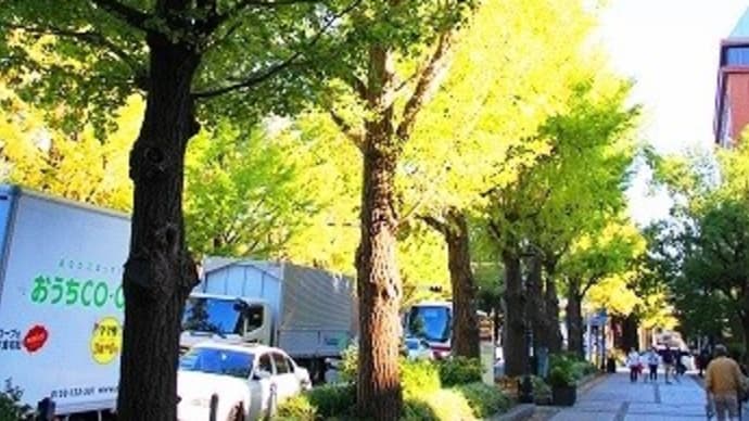 向かう先は…あらら、どうしましょ~