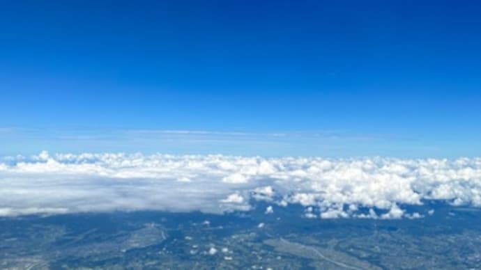 鹿児島市内でグルメ♪