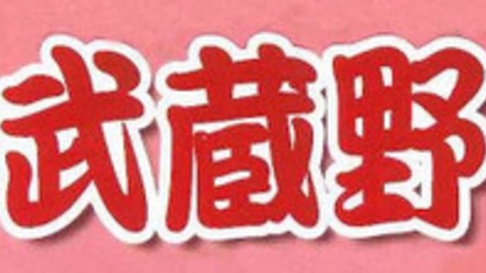 武蔵野七福神 飯能 入間 所沢