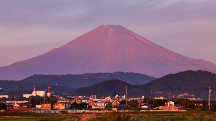 31/Oct 朝夕の富士山と大河のシロチドリとカワセミとジョウビタキとトビ