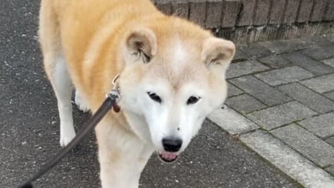 クリンへの想いは尽きなくて・・・187
