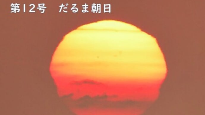 達磨太陽(朝陽) 2023年だるま朝日12号 7月22日
