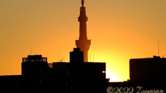 初日の出ではなくて、今年初の日の出を見た...