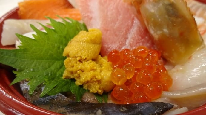 お刺身1盛り300円!数量限定「本まぐろのカマ切り落とし(カマトロ)」「バチマグロ」「アンコウの昆布〆」「太刀魚」!!刺身と手作り干物の専門店「発寒かねしげ鮮魚店」。