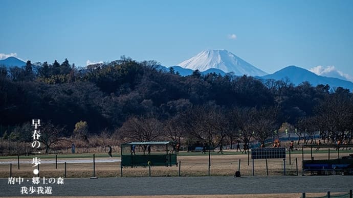 早春、はじめの一歩。