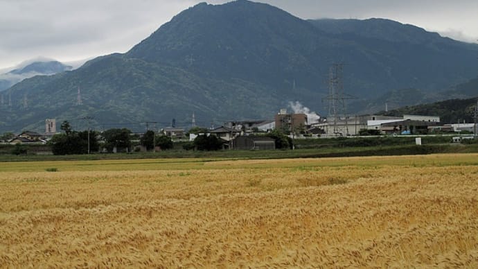 宝満山 5月13日