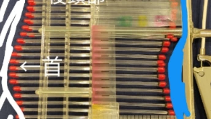眠りの楽しみを増すこと