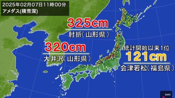 大雪の後は気温、杉花粉、桜の開花に注目!!